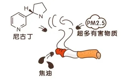e38ea408dafafe986cc61e0c4fcbcd65_640_wx_fmt=jpeg&from=appmsg&tp=webp&wxfrom=5&wx_lazy=1&wx_co=1.webp