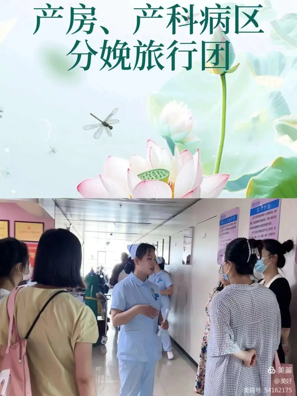 799dd75681d3d0cf4b45c3fe7beffbfa_640_wx_fmt=png&from=appmsg&tp=webp&wxfrom=5&wx_lazy=1&wx_co=1.webp