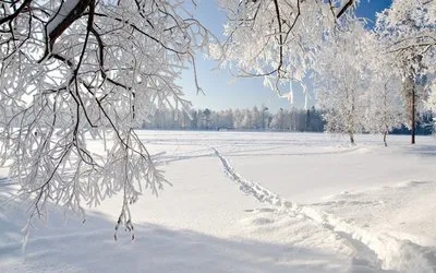 7cd16b81124969383e9ec621c1169b18_640_wx_fmt=jpeg&from=appmsg&tp=webp&wxfrom=5&wx_lazy=1&wx_co=1.webp